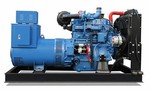 Dustproof Diesel Generator